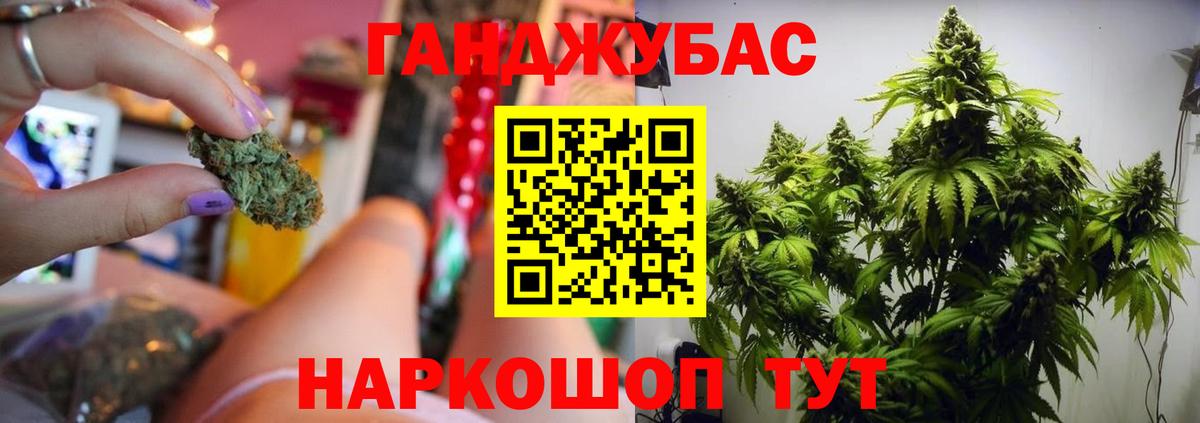 Каннабис индика  Марихуана SATIVA & INDICA  Каннабис семена  Саки  Вход с VPN 